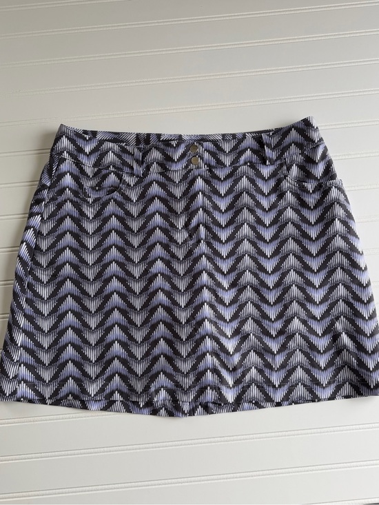 Slazenger Dresses & Skirts - Slazenger Women’s Size 8 Golf, Tennis, Pickleball Athletic Skort